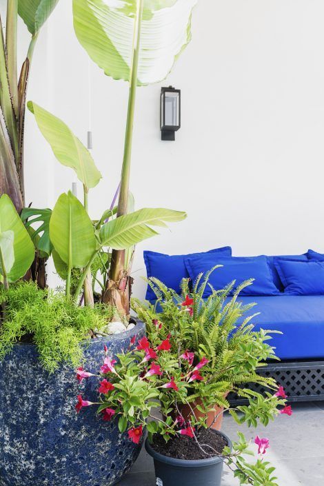 Fotografía de patio en una casa en Zahara de los Atunes
